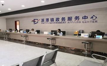 政务工作个人总结6篇