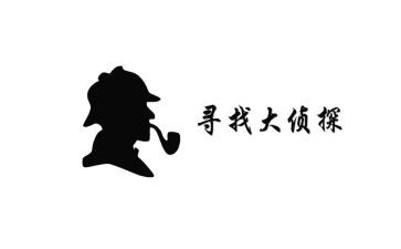 我是大侦探作文5篇