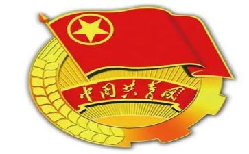 镇团委个人总结8篇