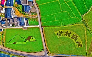2024年乡村振兴工作总结范文8篇