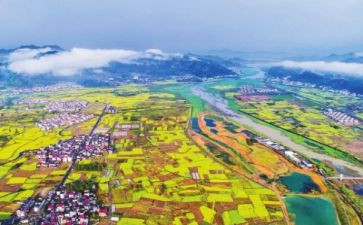 2023年乡村振兴心得体会参考8篇