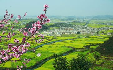2023年乡村振兴心得体会优质8篇