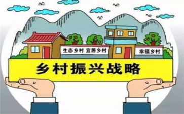 乡村振兴工作总结及工作计划8篇