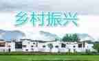 2023年乡村振兴心得体会优秀6篇