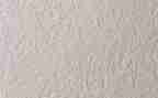 作文纸模板800字7篇