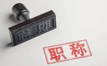 职称小学语文个人总结8篇
