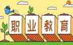 职教周的心得体会优秀6篇