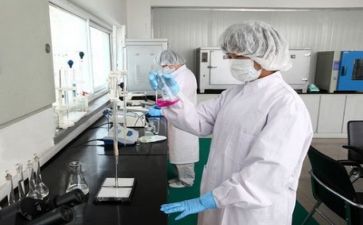 2024年质量月工作总结最新6篇