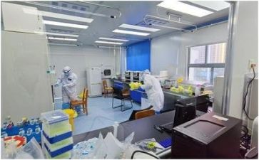质量室工作计划模板8篇