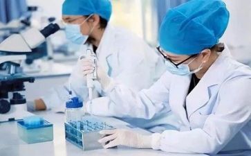 质量室工作计划8篇
