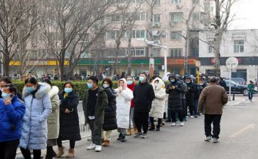 2024年秩序员个人总结8篇