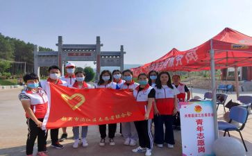 党志愿者服务心得体会6篇