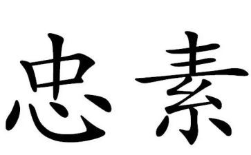 忠与孝的演讲稿6篇