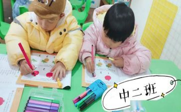 2023幼儿园中班个人总结参考5篇