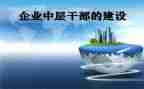 中层述职报告模板8篇