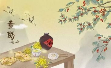 重阳节活动的总结优秀7篇
