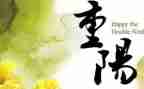 重阳节敬老作文400字7篇