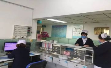 专科的自我鉴定优秀6篇