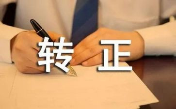 .转正后工作计划模板7篇