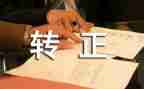 工作转正个人总结范文模板8篇