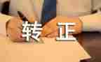 .转正后工作计划模板7篇