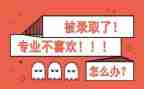 转专业工作计划推荐5篇