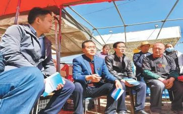 驻村干部的工作总结参考6篇