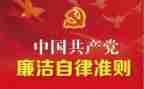 廉洁纪律准则心得体会6篇