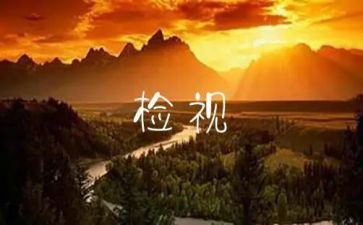 自检自查报告精选5篇