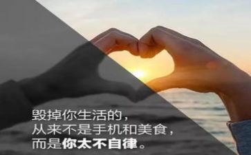 院自律会工作总结参考8篇