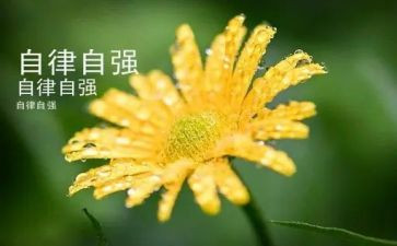 自强不息的演讲稿700字7篇