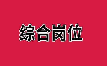 综合岗个人工作总结2023参考5篇
