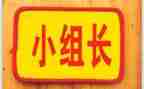 工作组长工作计划7篇