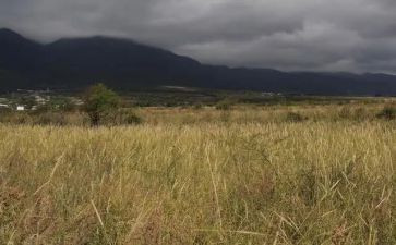 房屋租赁解除合同8篇