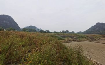 租赁商铺合同模板优质8篇