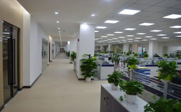 组织室工作总结通用8篇